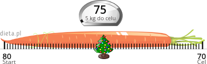 Przykładowy Strażnik Wagi