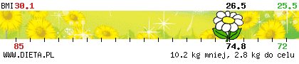 http://straznik.dieta.pl/zobacz/straznik/?pokaz=56104bd698996cda0.png