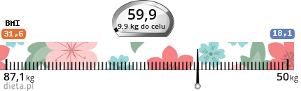 http://straznik.dieta.pl/zobacz/straznik/?pokaz=694757373c7a43da5.png